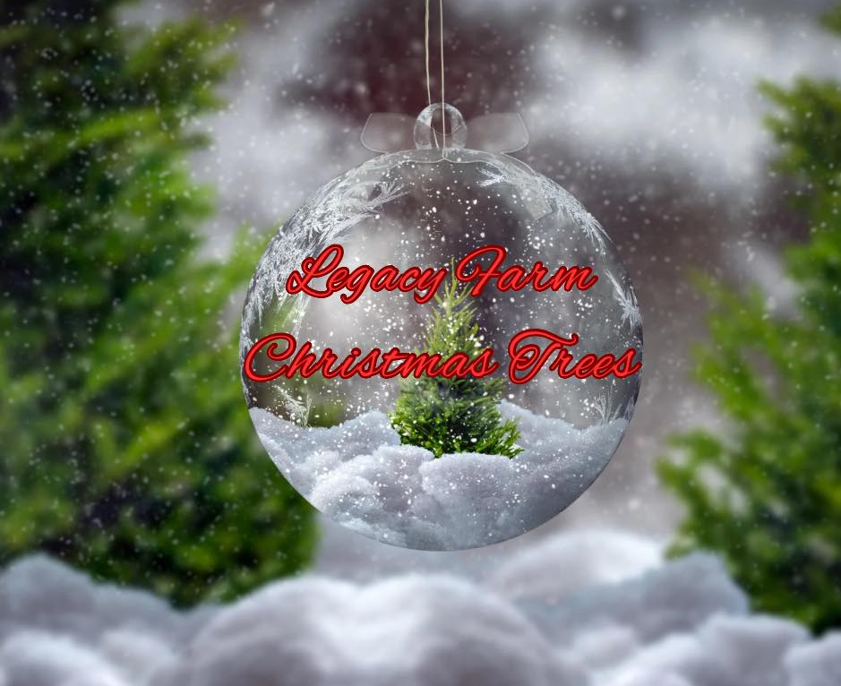 Green Bluff Newsletter Fall 2017. Image of Legacy Farm and Christmas Trees logo.